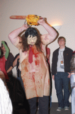 ValleyCon 37 - 2011